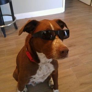 Meet your Posher, Brandon